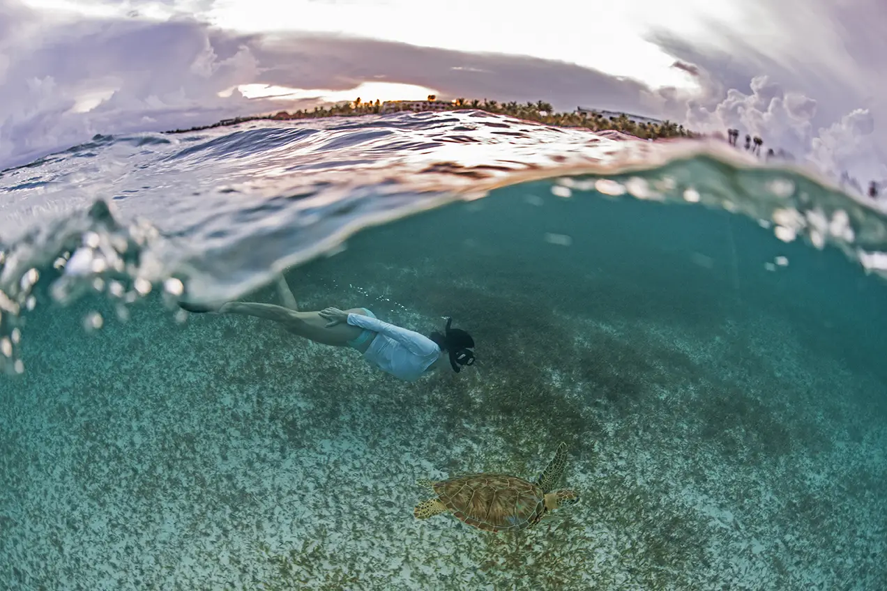 snorkel akumal