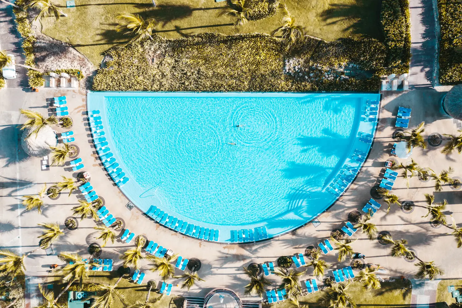 Piscina Hard Rock Punta Cana